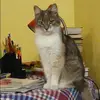 Отзыв от Ираида Владимирова